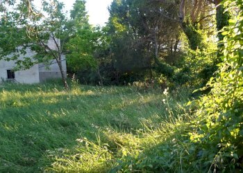 Foto 34 - Azienda agricola Montespertoli - foto 34