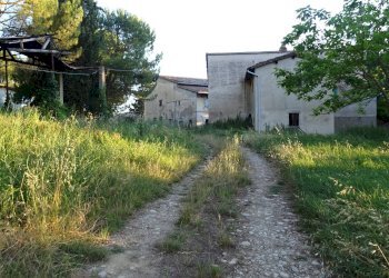 Foto 35 - Azienda agricola Montespertoli - foto 35