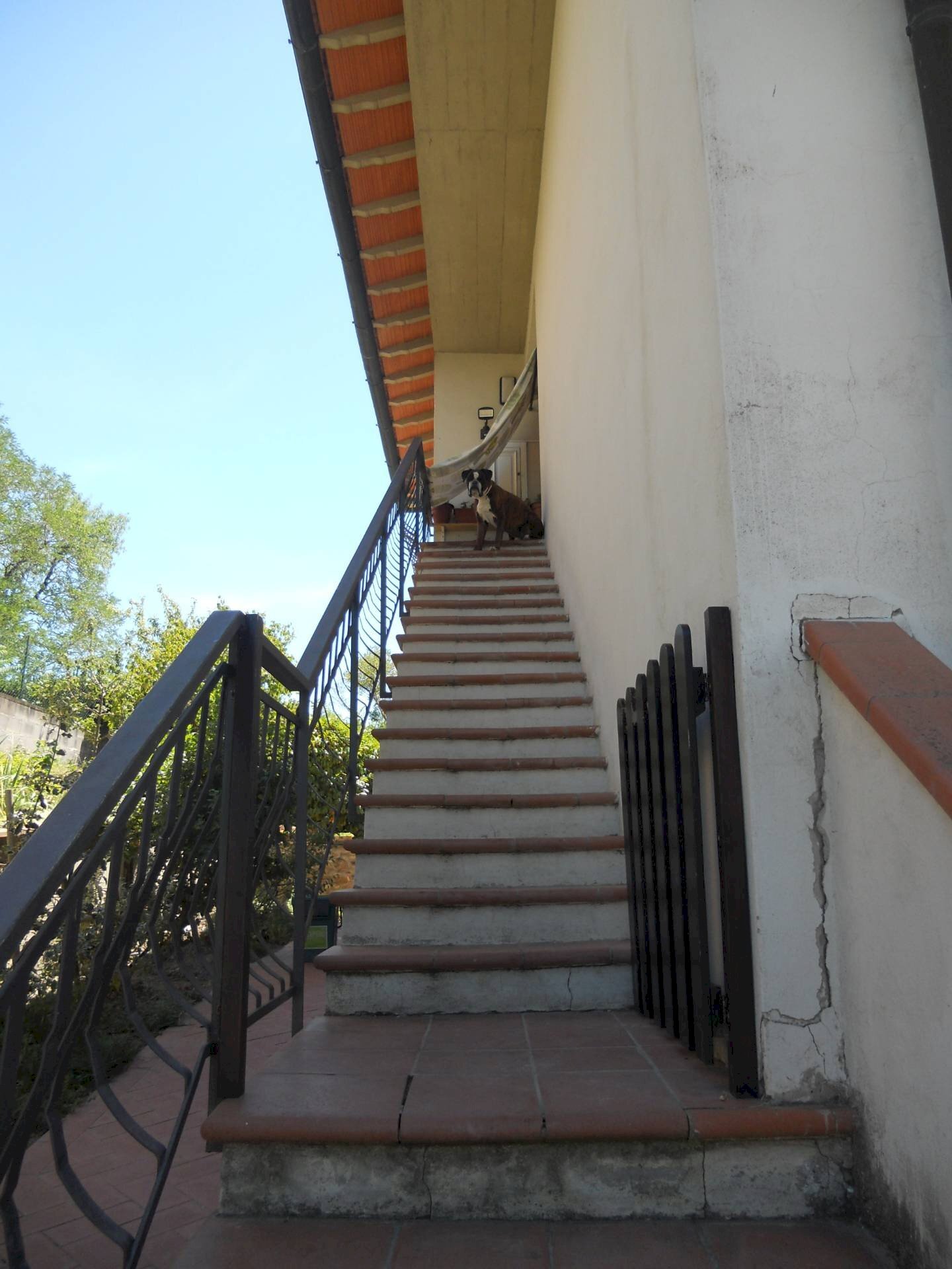 Foto 2 - Appartamento Montespertoli - foto 2