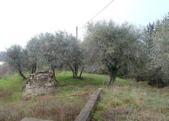 Foto 9 - Villa Montespertoli - foto 9