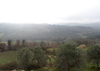 Foto 10 - Villa Montespertoli - foto 10