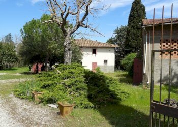 Foto 1 - Rustico Empoli - foto 1