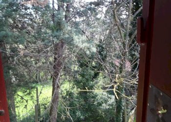 Foto 19 - Rustico Empoli - foto 19