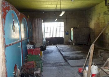 Foto 24 - Rustico Empoli - foto 24