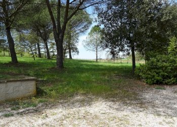 Foto 25 - Rustico Empoli - foto 25