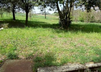 Foto 27 - Rustico Empoli - foto 27