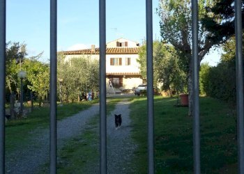 Foto 6 - Rustico Montespertoli - foto 6