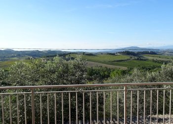 Foto 19 - Rustico Montespertoli - foto 19