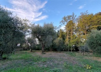 Foto 2 - Villa a Schiera Montespertoli - foto 2