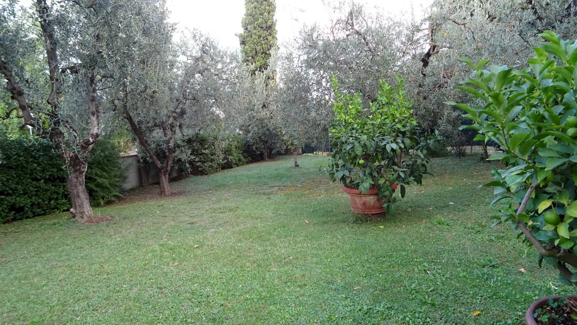 Foto 1 - Villa Montespertoli - foto 1