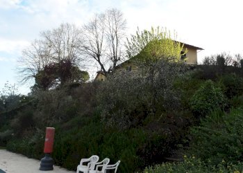 Foto 13 - Rustico Montespertoli - foto 13