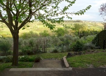 Foto 17 - Rustico Montespertoli - foto 17