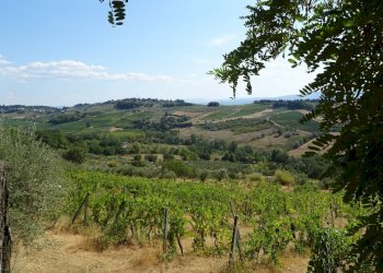 Foto 5 - Rustico Montespertoli - foto 5