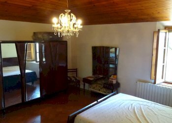 Foto 14 - Rustico Montespertoli - foto 14