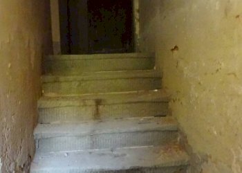 Foto 16 - Rustico Montaione - foto 16