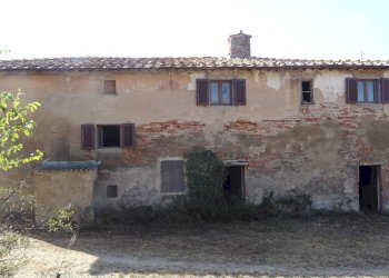 Foto 19 - Rustico Montaione - foto 19