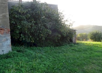 Foto 32 - Rustico Montaione - foto 29