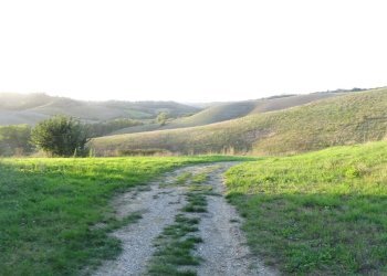 Foto 33 - Rustico Montaione - foto 30