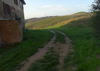 Foto 34 - Rustico Montaione - foto 31