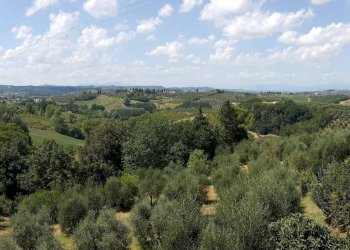 Foto 3 - Villa Castelfiorentino - foto 3