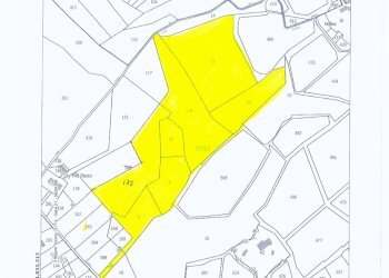 Foto 1 - Agricultural land Montespertoli - photo 1