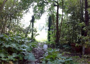Foto 3 - Rustic Montespertoli - photo 3