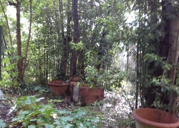 Foto 5 - Rustic Montespertoli - photo 5