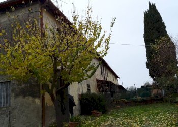 Foto 1 - Rustic Montespertoli - photo 1