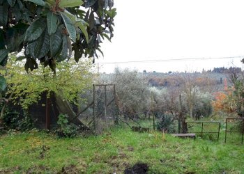 Foto 2 - Rustic Montespertoli - photo 2