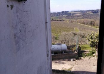 Foto 10 - Rustico Montespertoli - foto 10