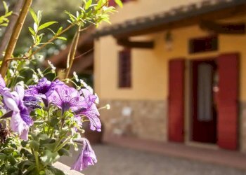 Foto 7 - Villa Montespertoli - foto 7