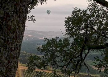 Foto 28 - Villa Montespertoli - foto 28