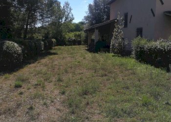 Foto 14 - Rustico Montespertoli - foto 14