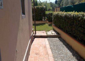 Foto 15 - Rustico Montespertoli - foto 15