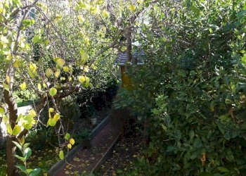 Foto 13 - Villa a Schiera Montespertoli - foto 13