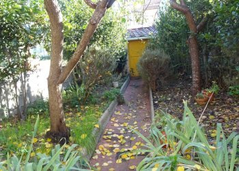 Foto 15 - Villa a Schiera Montespertoli - foto 15