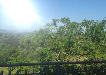 Foto 8 - Casa indipendente Certaldo - foto 8