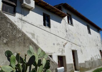 Foto 1 - Azienda agricola Montespertoli - foto 1