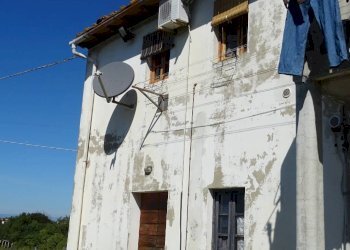 Foto 3 - Azienda agricola Montespertoli - foto 3