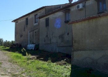 Foto 8 - Azienda agricola Montespertoli - foto 8