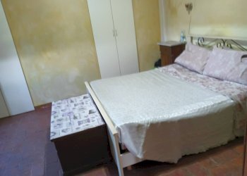 Foto 24 - Azienda agricola Montespertoli - foto 24