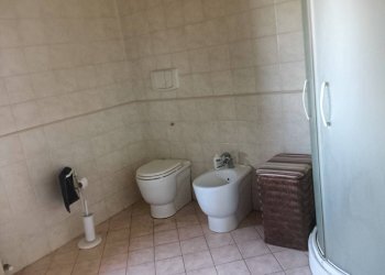 Foto 32 - Azienda agricola Montespertoli - foto 32