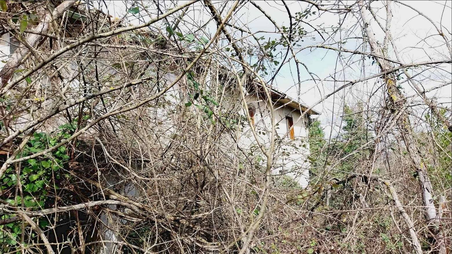 Foto 3 - Rustico Montespertoli - foto 3