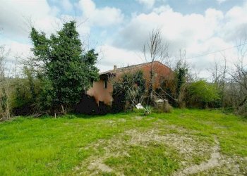 Foto 1 - Rustico Montespertoli - foto 1
