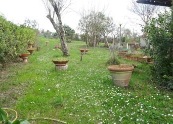 Foto 8 - Villa Montespertoli - foto 8