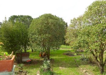 Foto 13 - Villa Montespertoli - foto 13