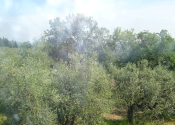 Foto 5 - Rustico San Casciano in Val di Pesa - foto 5