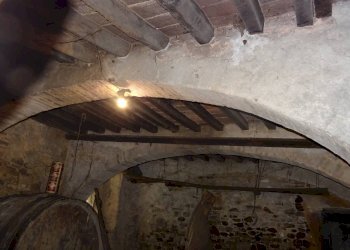 Foto 18 - Rustico San Casciano in Val di Pesa - foto 18