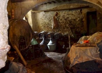 Foto 19 - Rustico San Casciano in Val di Pesa - foto 19