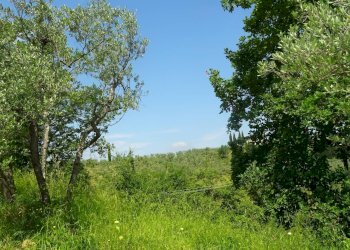 Foto 26 - Rustico San Casciano in Val di Pesa - foto 26